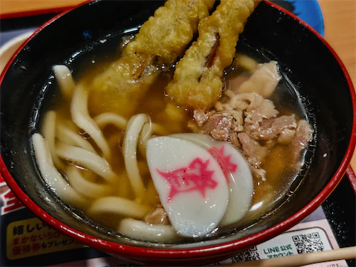 ネギも入っていないうどん