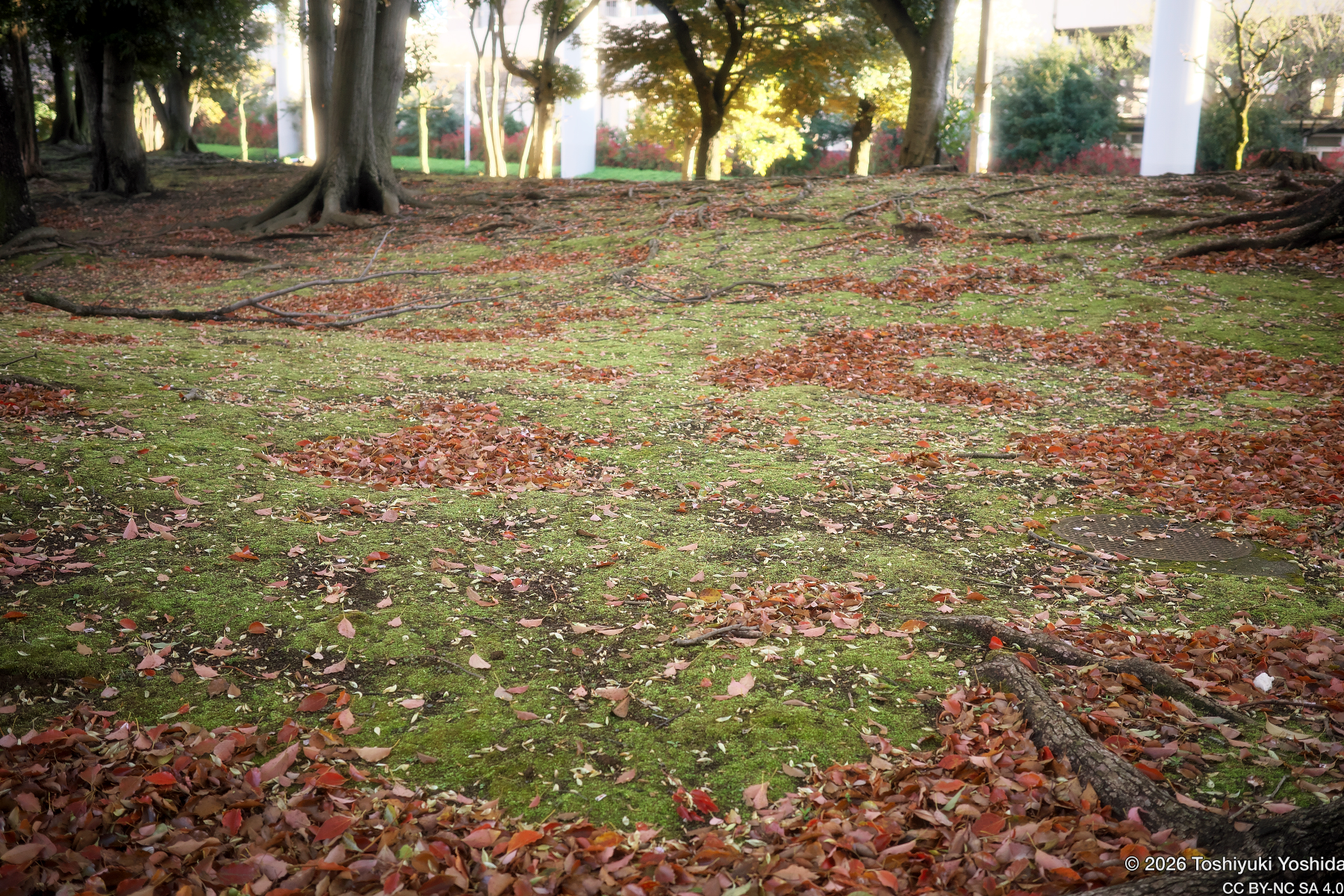 Ground Palette